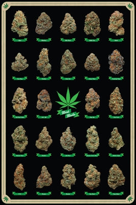 1190 Best Buds Poster
