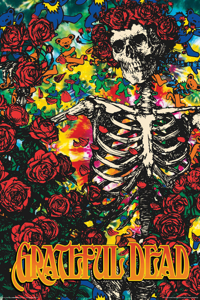 5371 Grateful Dead / Skeleton & Roses Poster
