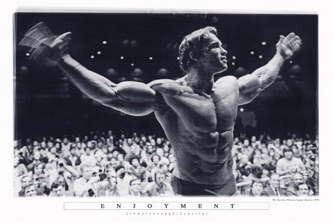 1353 Arnold Schwarzenegger / Mr Olympia Poster