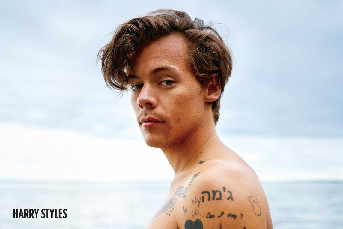 2019 Harry Styles - Beach Poster