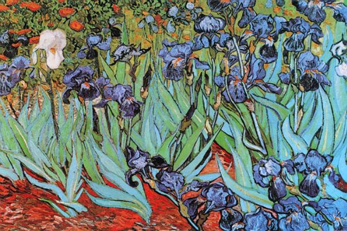 2064 V. Van Gogh / Irises Poster