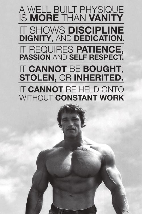 5225 Arnold Schwarzenegger / Quote Poster