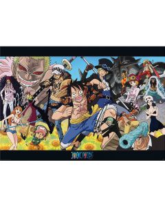 5254 One Piece / Dressrosa