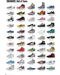 5258 Sneakers / Evolution Poster