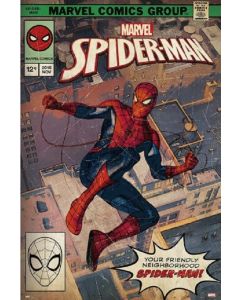 5259 Spiderman / Comic Poster