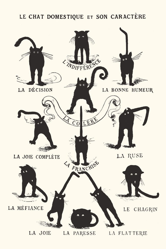 AP615 Le Chat Domestique Poster