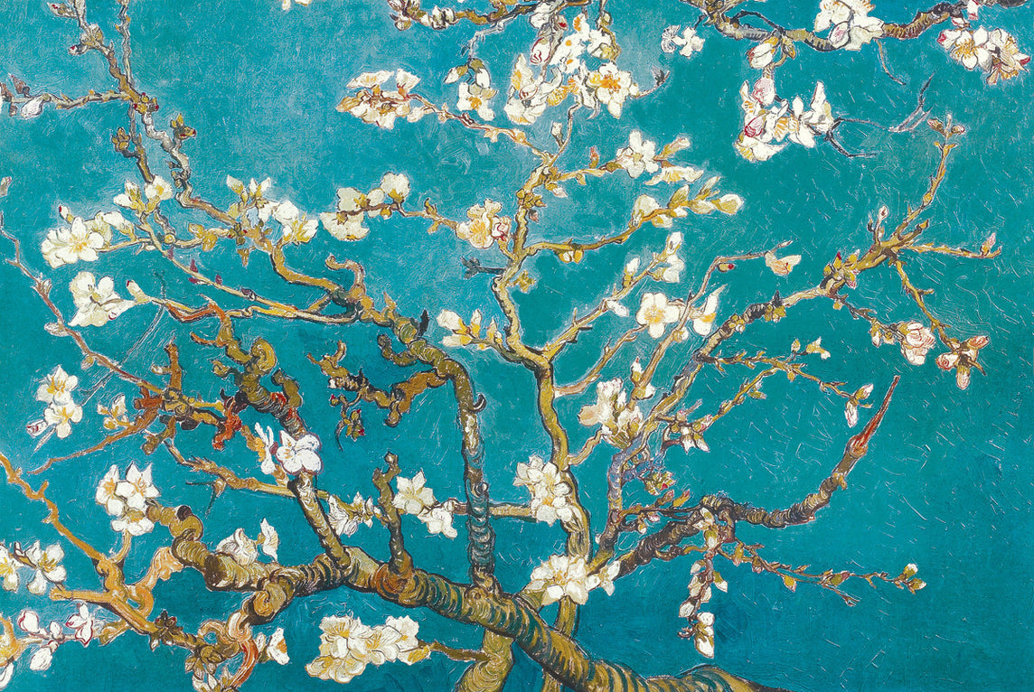 AP616 Van Gogh / Almond Blossom Poster