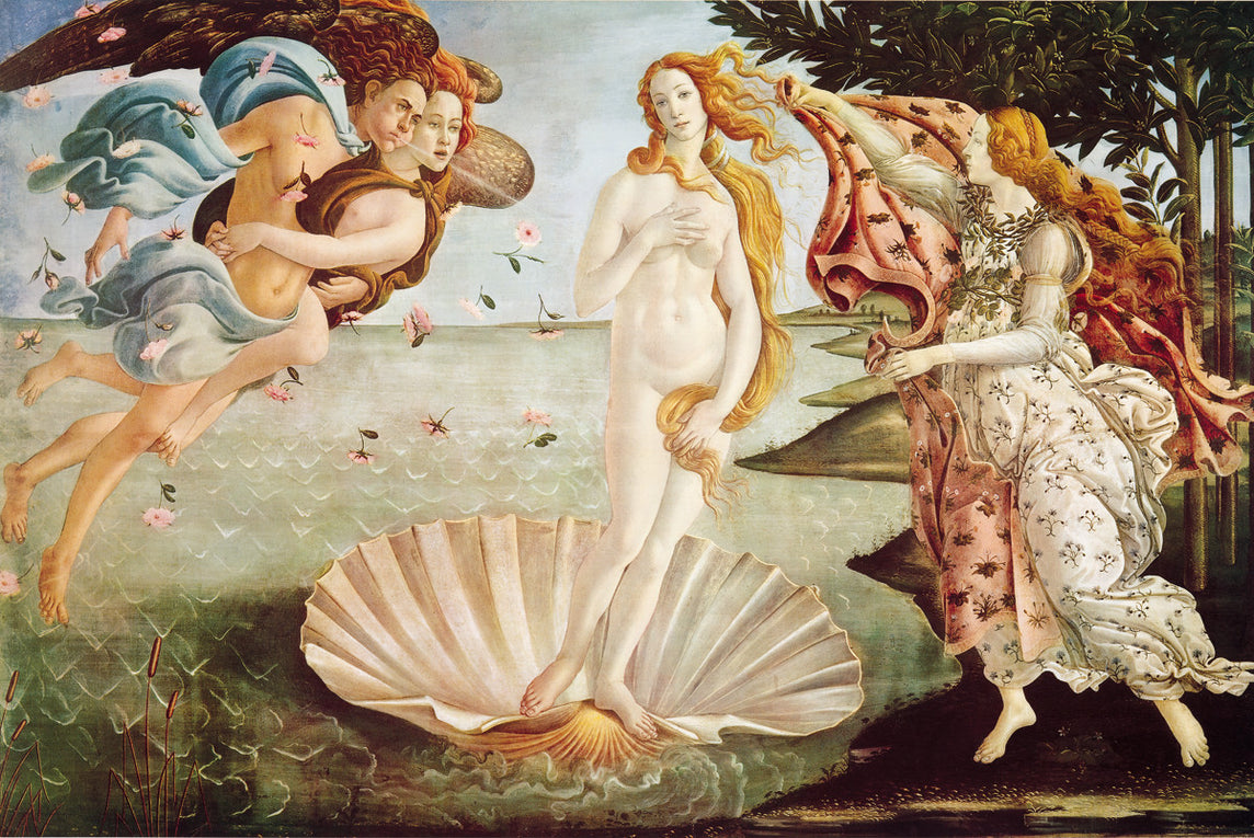 AP651 Botticelli / Birth Of Venus Poster